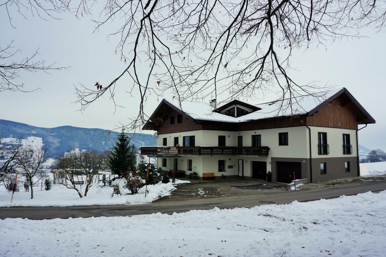 Ferienwohnung Hausleitner زيل أم موس المظهر الخارجي الصورة